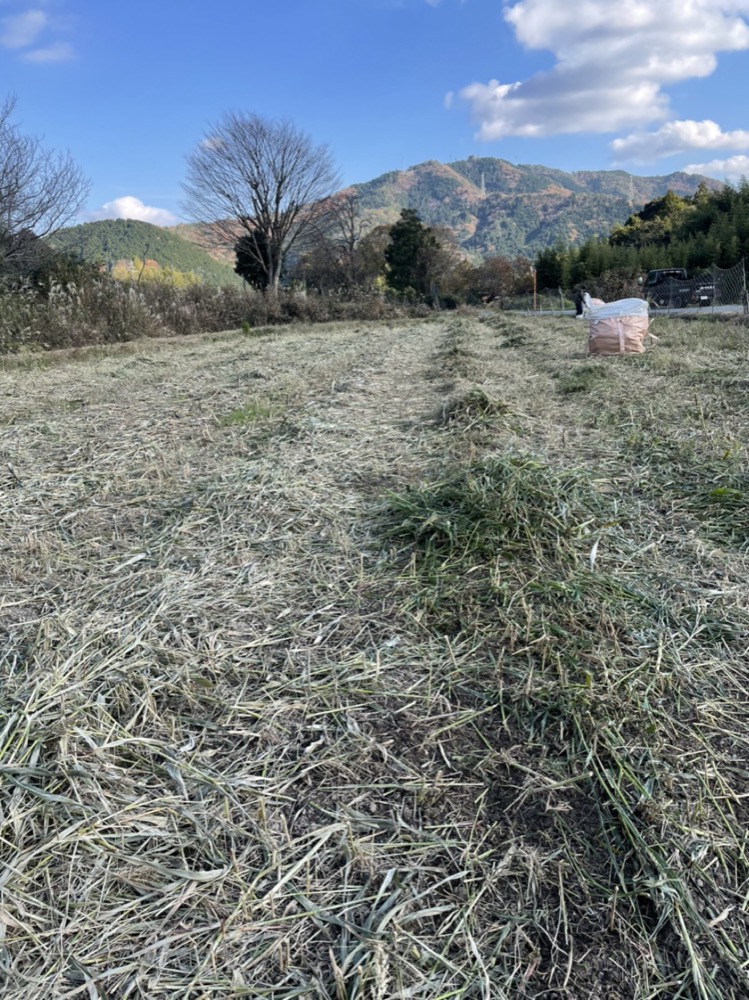 牧草地