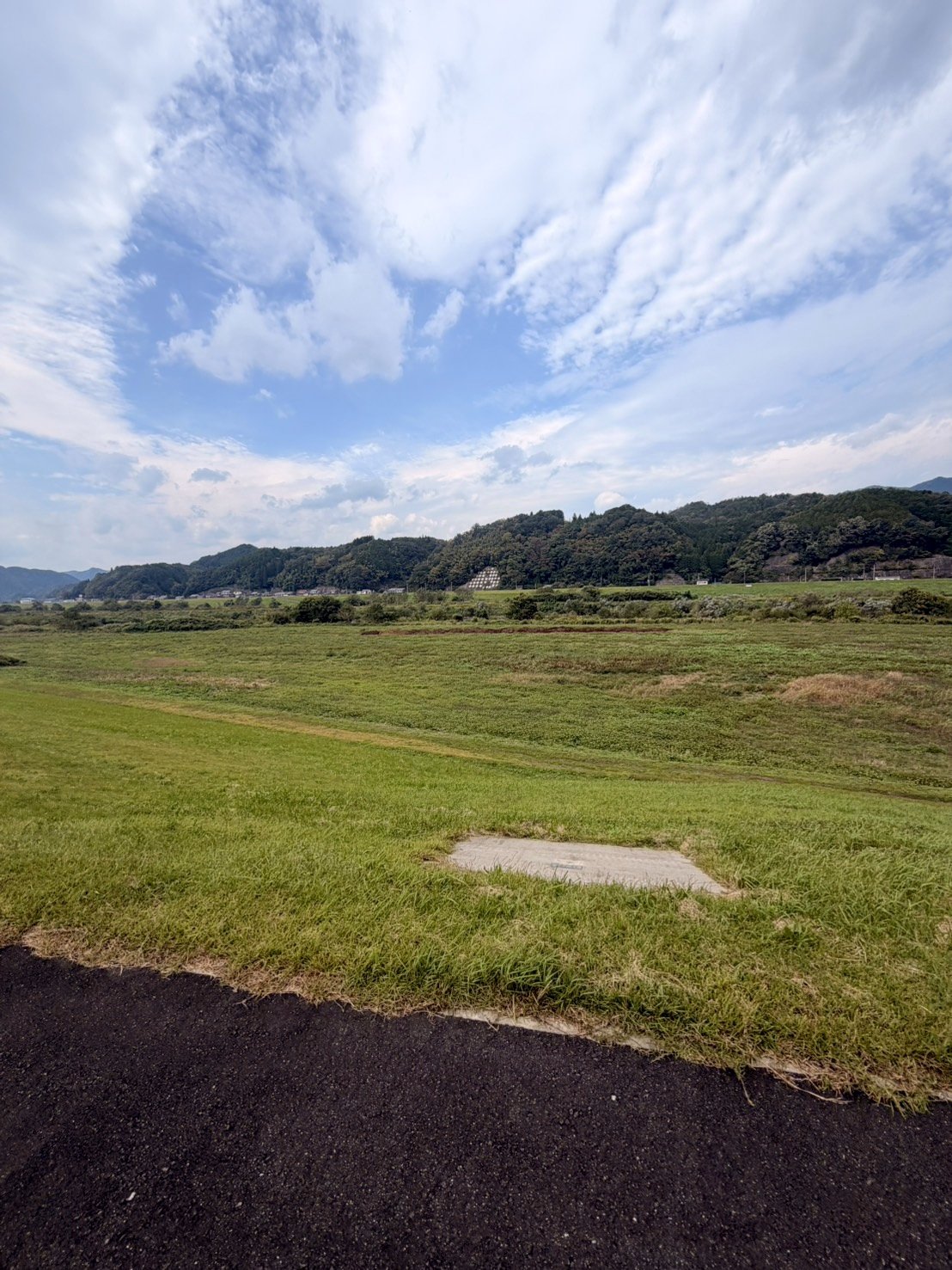 堤防沿いの牧草地