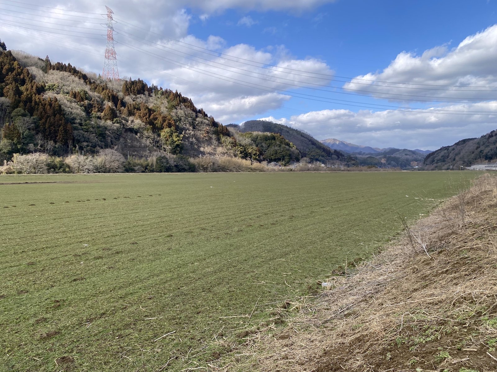 川沿いに広がる牧草地