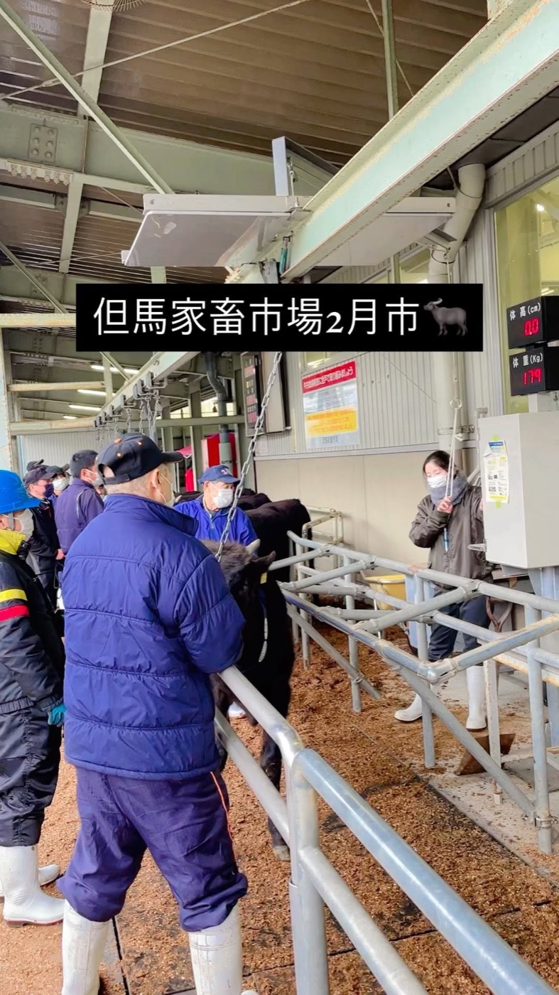 但馬家畜市場